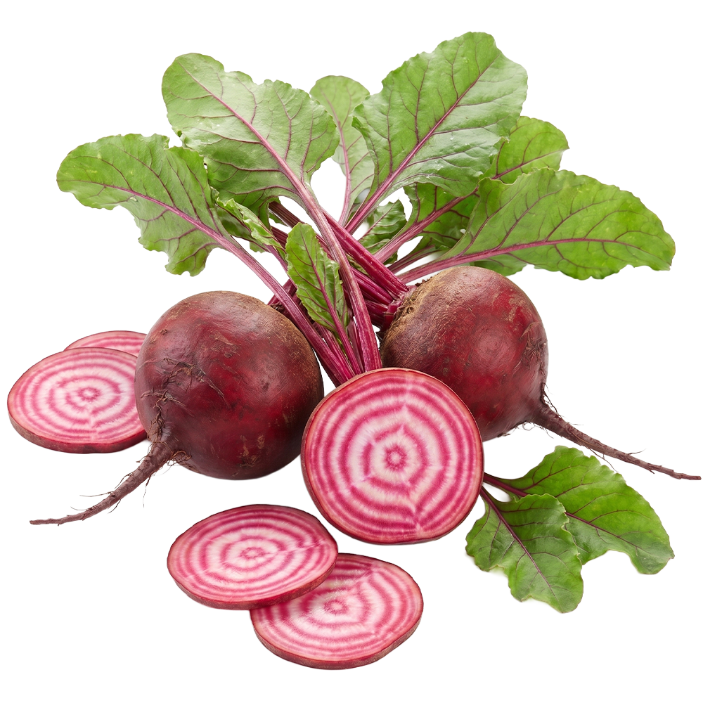 Cikla Chioggia 1kg