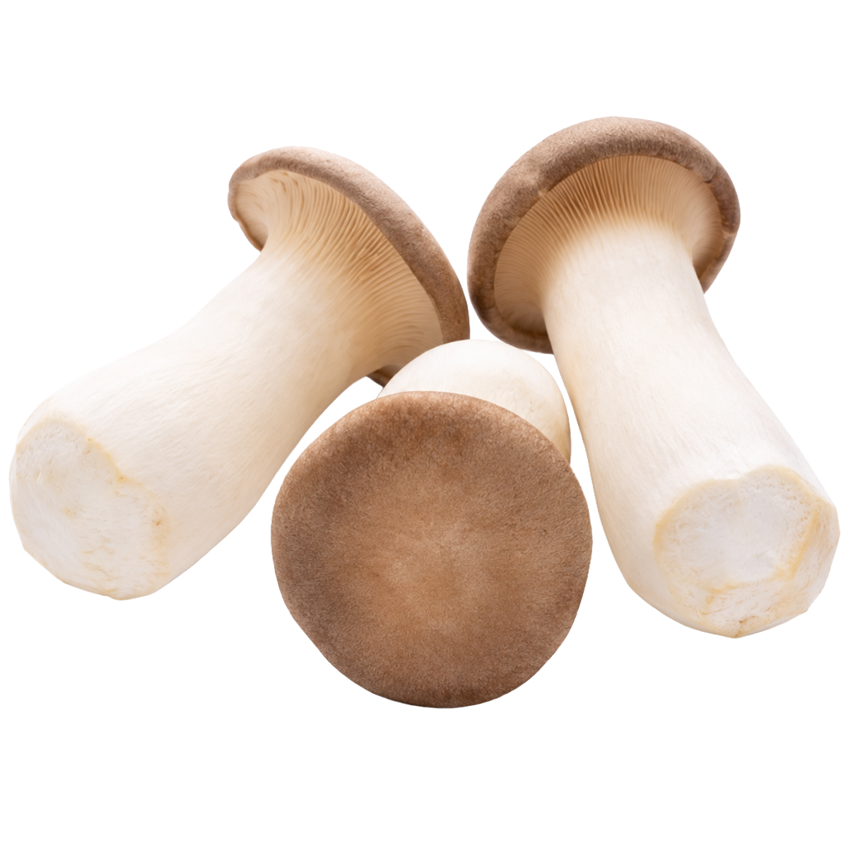 Kraljevske bukovače 4kg