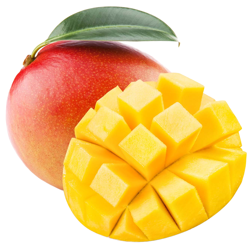 Mango RTE 1kom