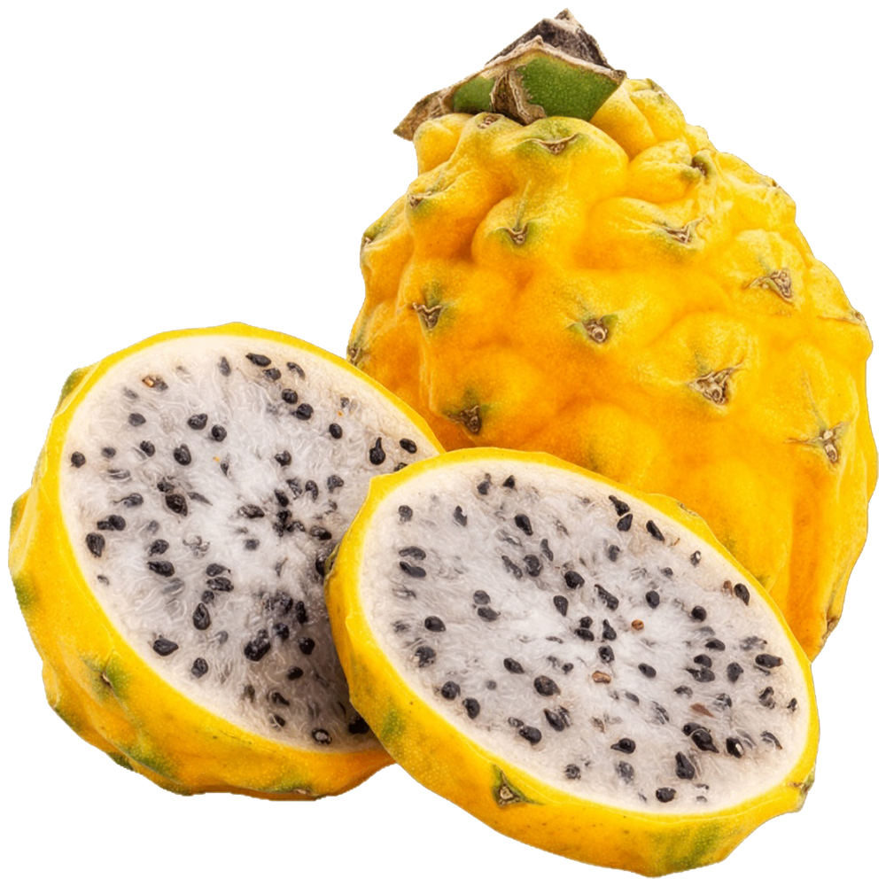 Pitahaya žuta 1kom