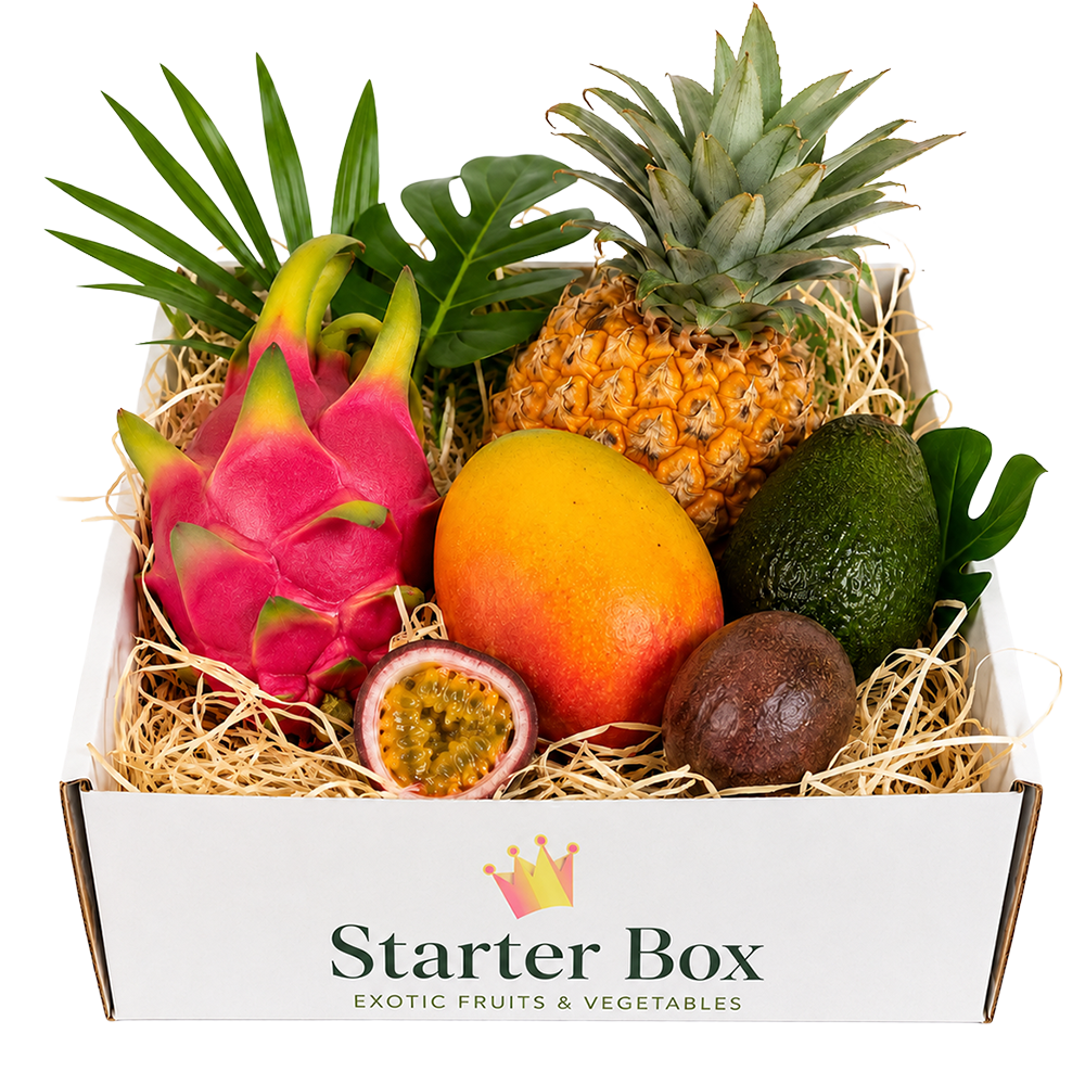 Starter Box