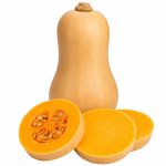 Butternut tikva_ExoticKing