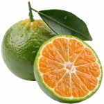 Calamansi_ExoticKing