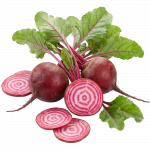 Cikla Chioggia_ExoticKing