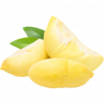 Durian oguljeni plod_ExoticKing