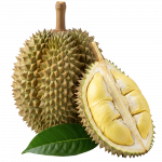 Durian_ExoticKing