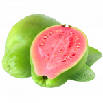Guava_ExoticKing