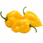 Habanero žuti_ExoticKing