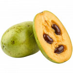 Indijanska banana_ExoticKing