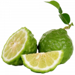 Kaffir limeta_ExoticKing