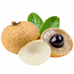 Longan_ExoticKing