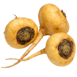Maca Korijen_ExoticKing
