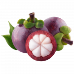 Mangosteen_ExoticKing