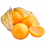 Physalis_ExoticKing
