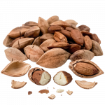 Pili nuts_ExoticKing