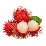 Rambutan_ExoticKing