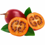 Tamarillo_ExoticKing