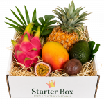 Starter Box_ExoticKing