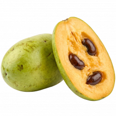 Indijanska banana_ExoticKing