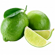 Limeta_ExoticKing