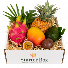 Starter Box_ExoticKing
