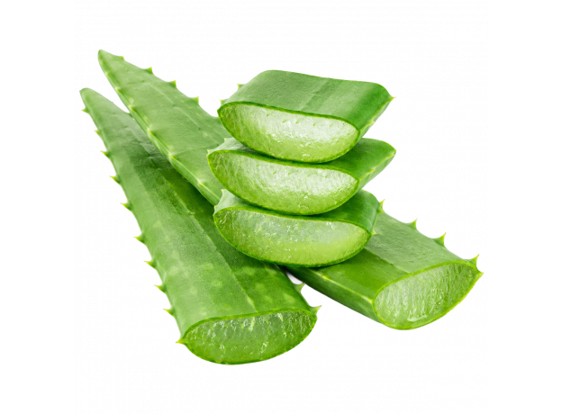 Aloe vera list_ExoticKing