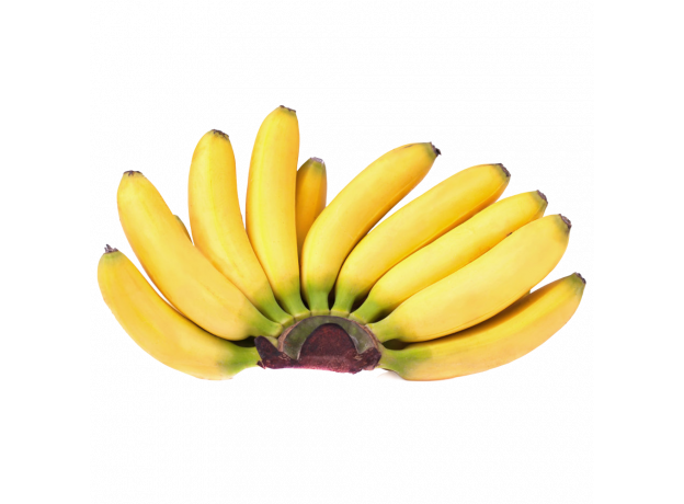 Banana mini_ExoticKing