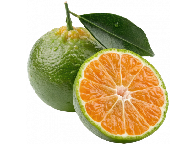 Calamansi_ExoticKing