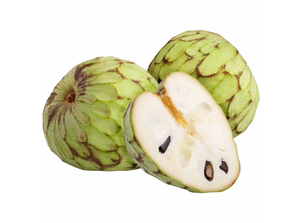 Cherimoya_ExoticKing