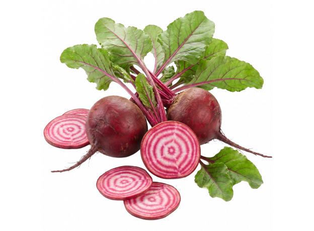 Cikla Chioggia_ExoticKing
