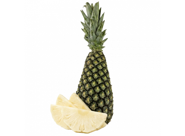 Divlji ananas by air 1 kom_ExoticKing
