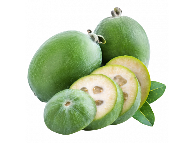 Feijoa_Exotic King