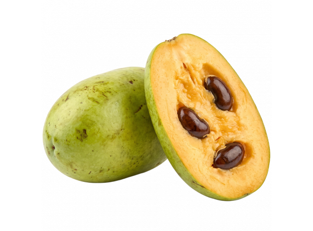 Indijanska banana_ExoticKing