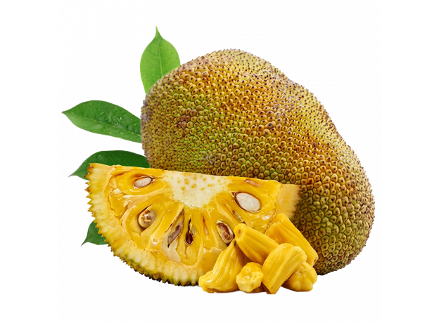 Jackfruit_ExoticKing