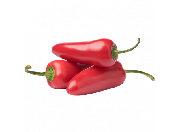 Jalapeño crveni_ExoticKing