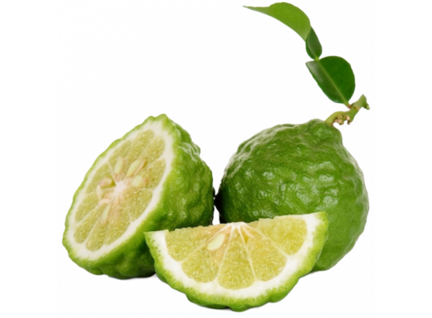 Kaffir limeta_ExoticKing