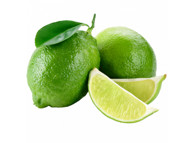 Limeta_ExoticKing