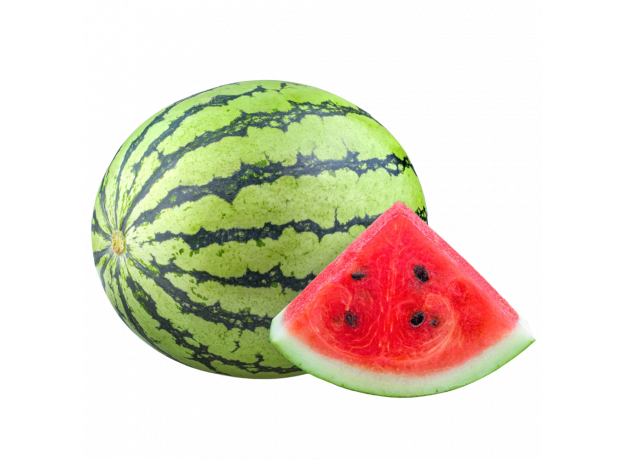 Lubenica mini_ExoticKing