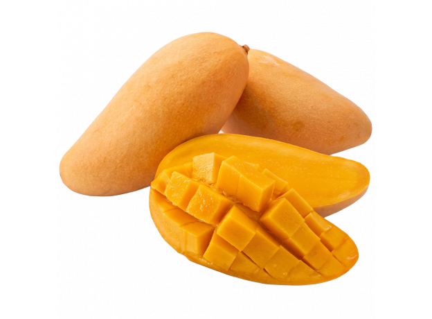 Mango Mahachanok_ExoticKing