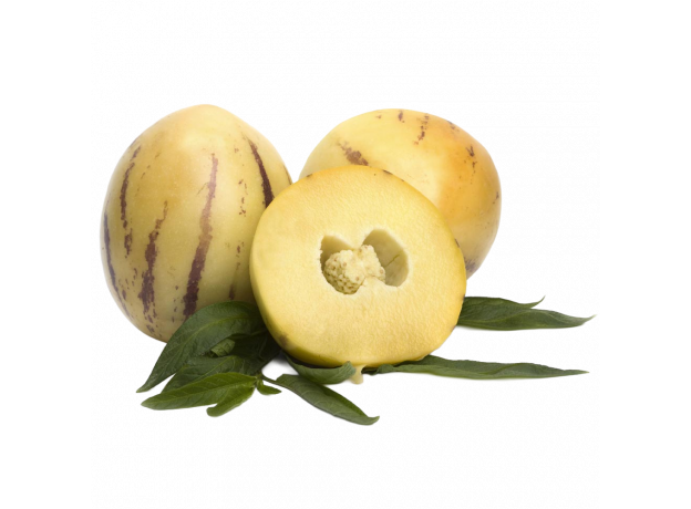 Pepino_ExoticKing