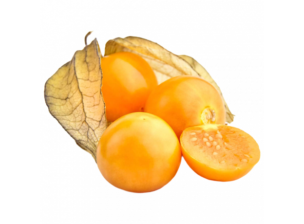 Physalis_ExoticKing