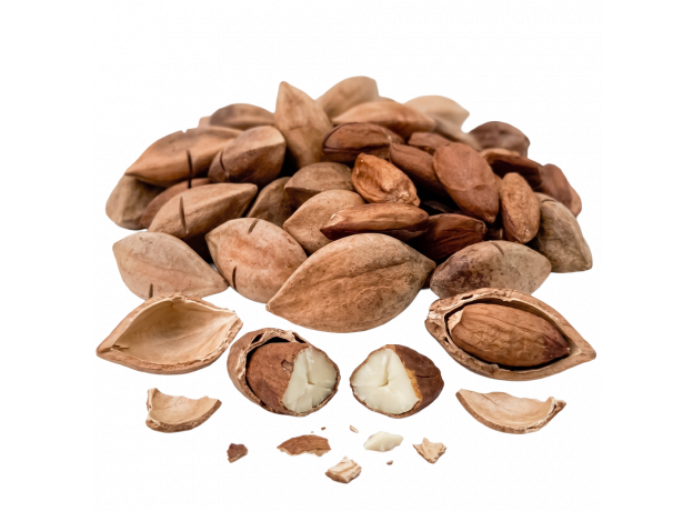 Pili nuts_ExoticKing