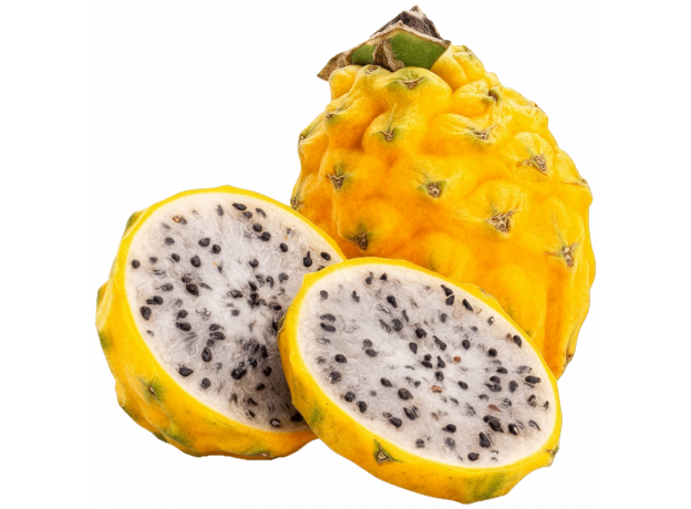 Pitahaya žuta_ExoticKing
