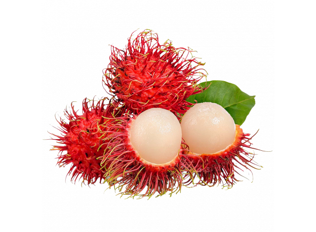 Rambutan_ExoticKing