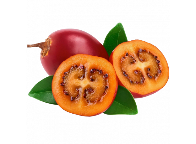 Tamarillo_ExoticKing