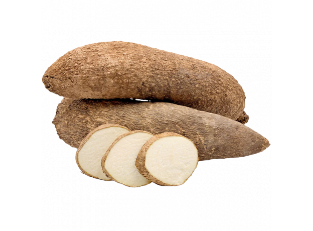 Yam bijeli_ExoticKing