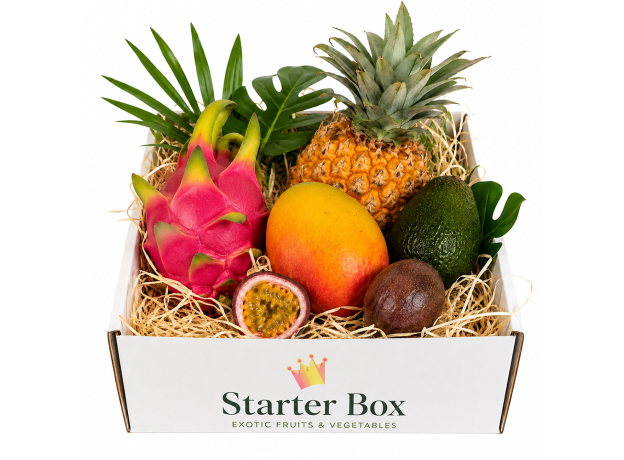 Starter Box_ExoticKing