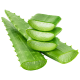 Aloe vera list_ExoticKing