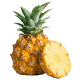 Ananas mini_ExoticKing