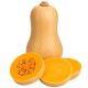 Butternut tikva_ExoticKing